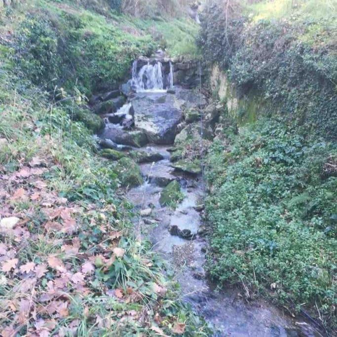 شقة Uno Spazio Di Relax In Toscana Buti المظهر الخارجي الصورة
